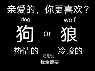 你们都是我的翅膀啊!